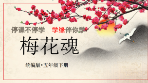 图片出现错误