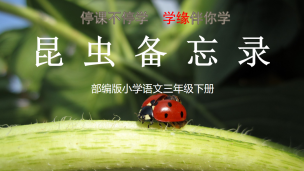 图片出现错误